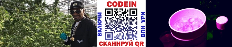 Кодеин напиток Lean (лин)  продажа наркотиков  мега ССЫЛКА  Чкаловск 