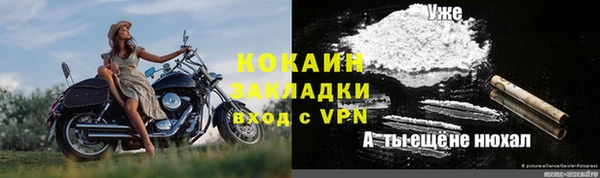 бошки Протвино