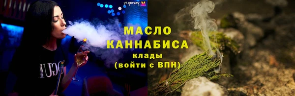 сатива Беломорск
