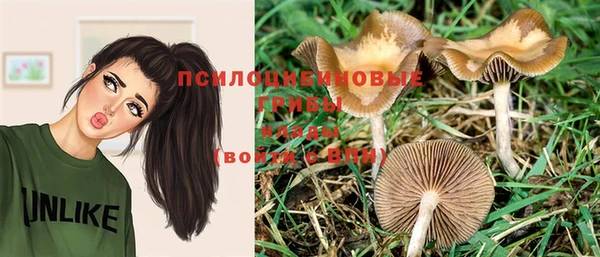 МДПВ Белоозёрский