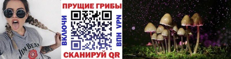 mega маркетплейс  купить закладку  Чкаловск  Псилоцибиновые грибы мухоморы 